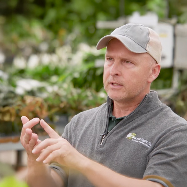 Andrej Suske, owner of Cascade Tropicals