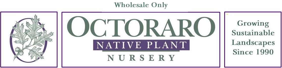 Octoraro logo