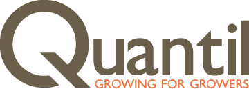 Quantil logo